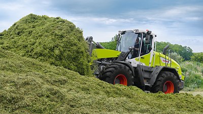 TORION small series