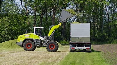 TORION small series